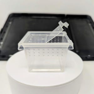 10 PACK Mini Clear Stackable Invertebrate & Reptile Keeper Box