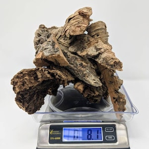 8oz ASSORTED Virgin Cork Bark - for Orchids, Airplants, Reptiles, and Terrariums