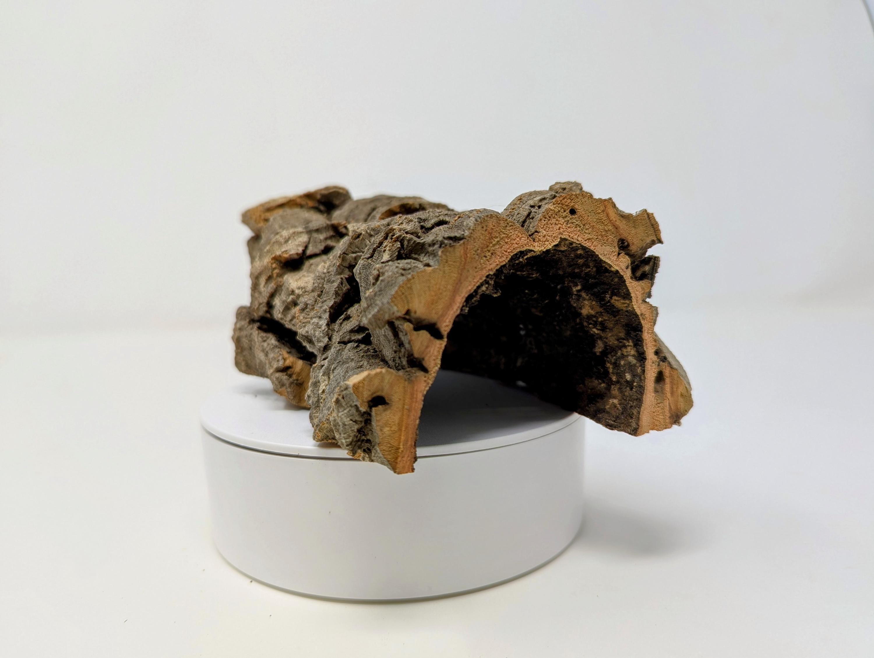 Cork Half-Rounds by Size - for Animal Hide, Orchids, Airplants, Reptiles, and Terrariums