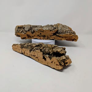 Cork Ledges by Size - for Animal Hide, Orchids, Airplants, Reptiles, and Terrariums