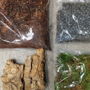 カエルとヤモリのテラリウムキット、生きた苔、LECA、コルク、手作りのバイオアクティブ土壌付き