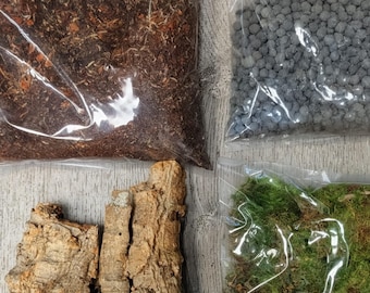 Kit Terrário Completo com Musgo Vivo, LECA, Cortiça, Solo Terrário Feito à Mão