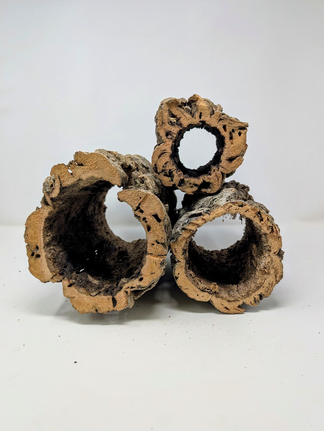 Cork Bark Rounds 2lbs: Natural Terrarium / Vivarium Animal Hides - Etsy