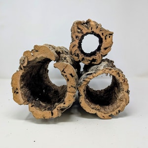 1 Pound ROUNDS Cork Bark - for Orchids, Airplants, Reptiles, and Terrariums