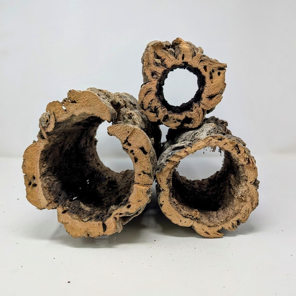 1 Pound ROUNDS Cork Bark - for Orchids, Airplants, Reptiles, and Terrariums