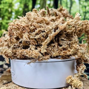 Long Fiber New Zealand Sphagnum Moss AAA Grade