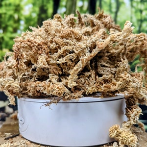 1/2 Gallon Long Fiber New Zealand Sphagnum Moss 2.5oz [70 Grams]