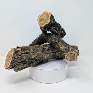 Ramos de casca de cortiça virgem (núcleo sólido) 6-36" – Natural para orquídeas, plantas aéreas, répteis, terrários + artesanato – Ecológico, bioativo
