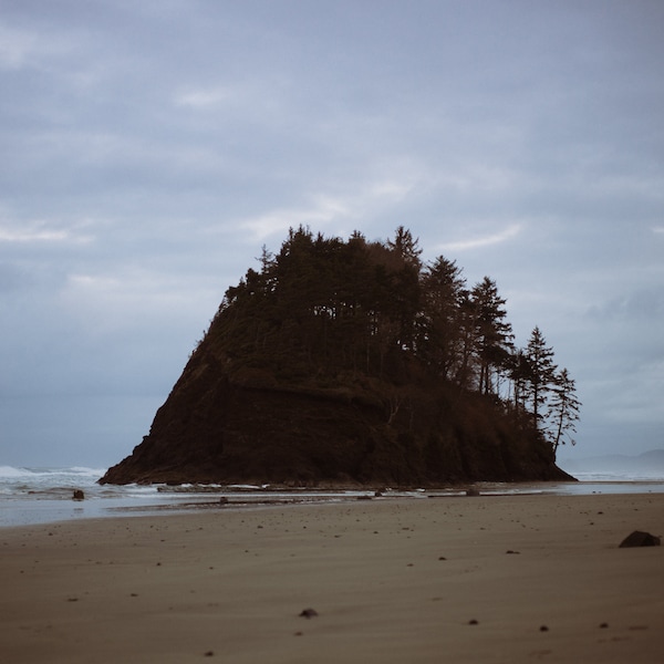 Proposal Rock, Oregon Coast at Sunrise, Neskowin Oregon Beach Photography, Cloudy Coastal Fine Art, PNW Wall Art, Ghost Forest Beach Print