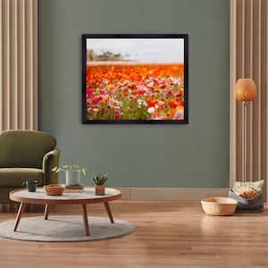 Colorful Flower Field Print, Ranunculus Flowers Framed Fine Art 11x14 8x10, Carlsbad California Bright Unique Floral Photograph