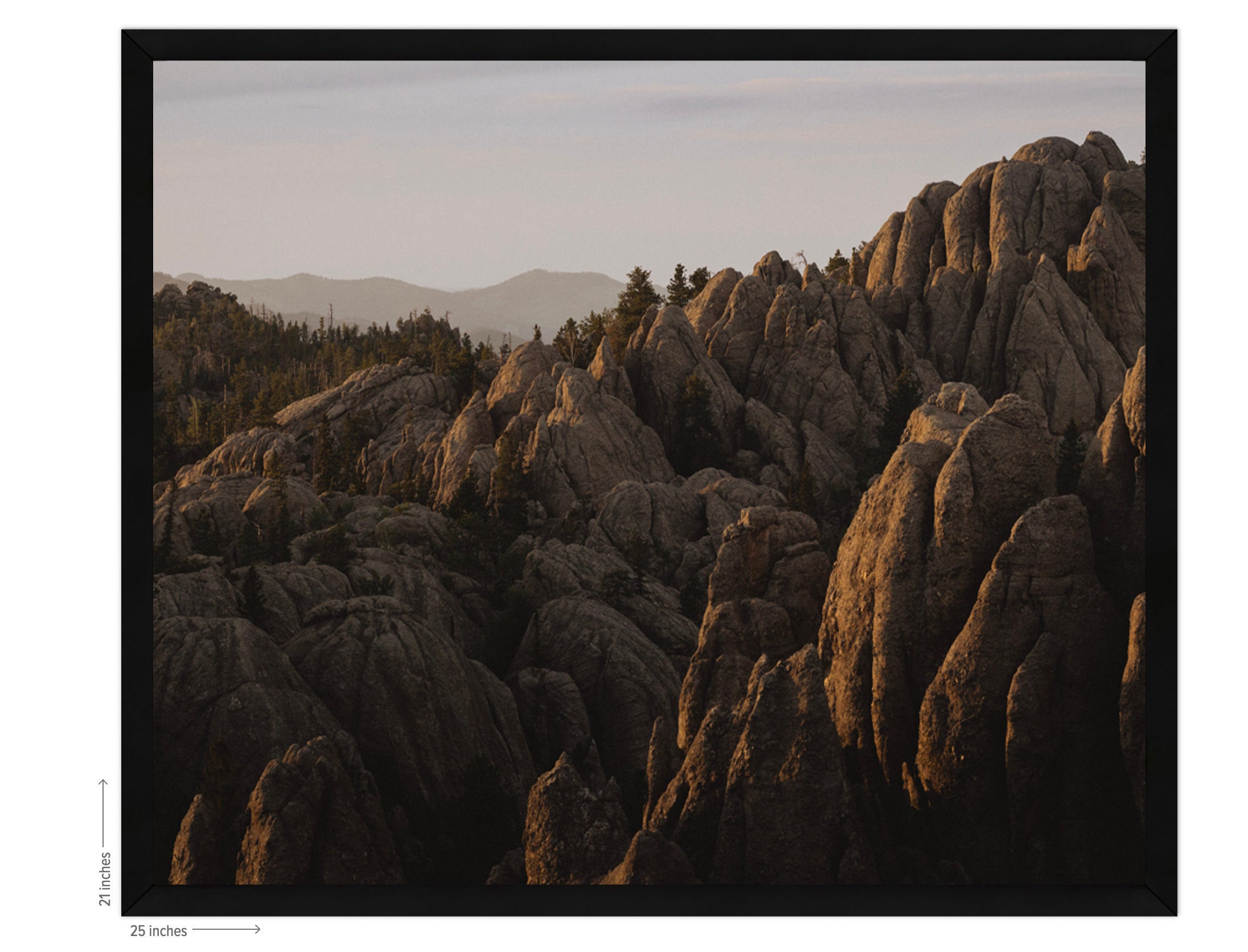 Custer State Park at Sunset, South Dakota Black Hills Framed Wall Art