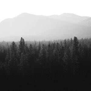 Black and White Trees and Mountains, Montana Wall Art, Large Photography, MT Nature Photography 11x14 16x20 20x24 30x40