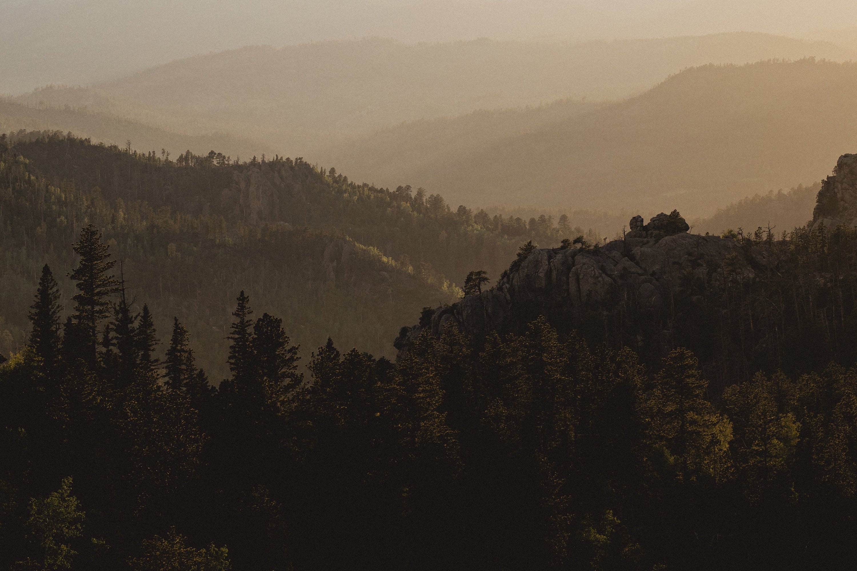 Custer State Park at Sunset, South Dakota Black Hills Framed Wall Art