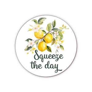 Lemon Sign, Summer Door Hanger, Wreath Sign, Wreath Supplies, Squeeze the Day