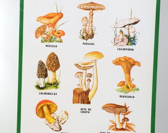 70s Poster Icona Fournier's Protected Mushrooms