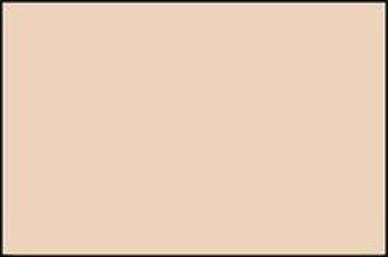 Robison-Anton 1,100 Yd 2232 Rayon Embroidery Thread Ecru