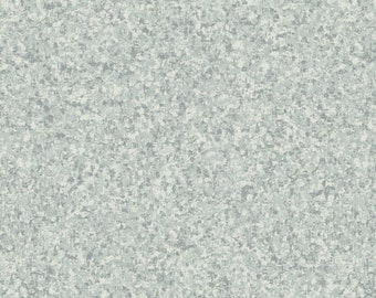1649-23528-KZ, Color Blends: Ash, 44"/45" di larghezza, venduto a 1/2 yard, da QT Fabrics