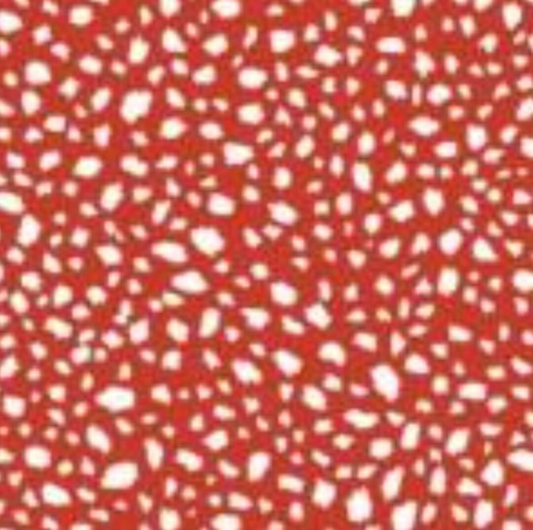Cx10630-redx-d,bow-wow-wow Happy Spots red, 44/45 Wide, Sold Cx10630-redx-d,bow-wow-wow Happy Spots red, 44/45 Wide, Sold