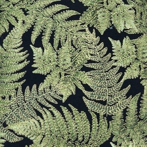CM-3723, Fern with Gold Edge, 44&quot;/45&#39; wide, sold by the 1/2 yard, for Timeless Treasures