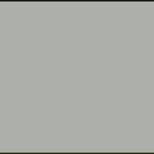 2540, Robison-Anton 1,100 Yd. Rayon Embroidery Thread - Traditional Gray