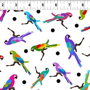 3COL-1, Coloré - Perroquets multicolores, 44&quot;/45&quot; de large, vendu par 1/2 yard, pour In The Beginning Fabrics