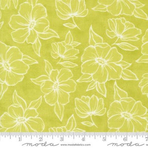 36072-15, Kindred by Moda and 1 Canoe 2, sold by the 1/2 yard