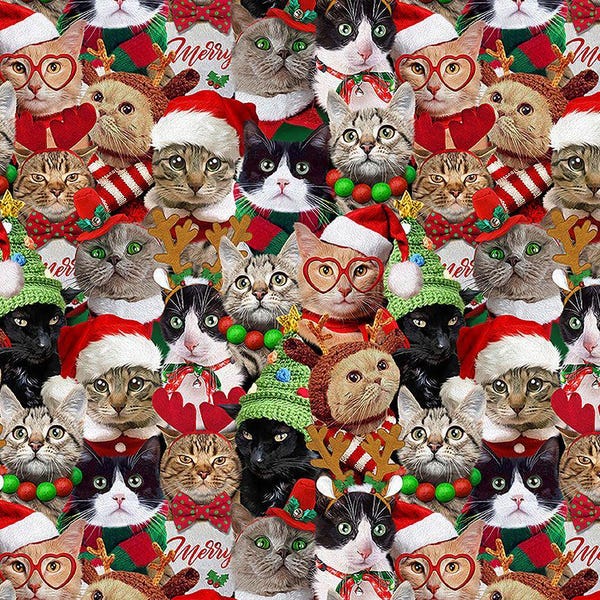 CD3498 Holiday Cats by Timeless Treasures, sold by the 1/2 yard