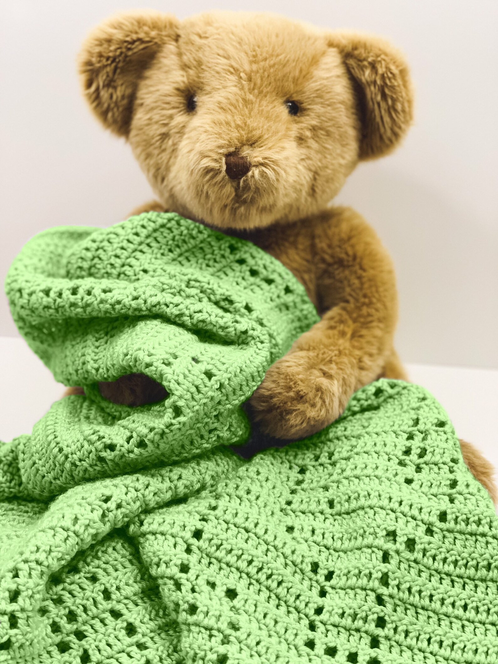 Cactus Baby Blanket Crochet Pattern Toddler Blanket Etsy