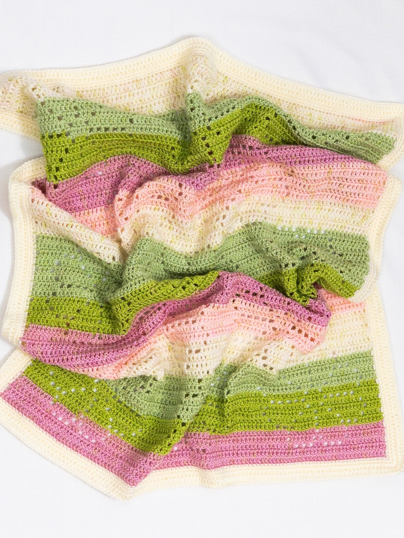 Marguerite Blanket Filet Crochet Blanket Pattern Baby Blanket Crochet Pattern Filet Blanket Filet Crochet Pattern Flowers Plants image 4