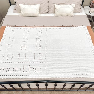 Crochet Baby Blanket Pattern | Baby Milestone Blanket | Filet Crochet Pattern | Monthly Milestone Baby Blanket | Crochet Blanket Pattern