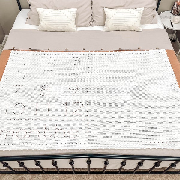 Crochet Baby Blanket Pattern | Baby Milestone Blanket | Filet Crochet Pattern | Monthly Milestone Baby Blanket | Crochet Blanket Pattern