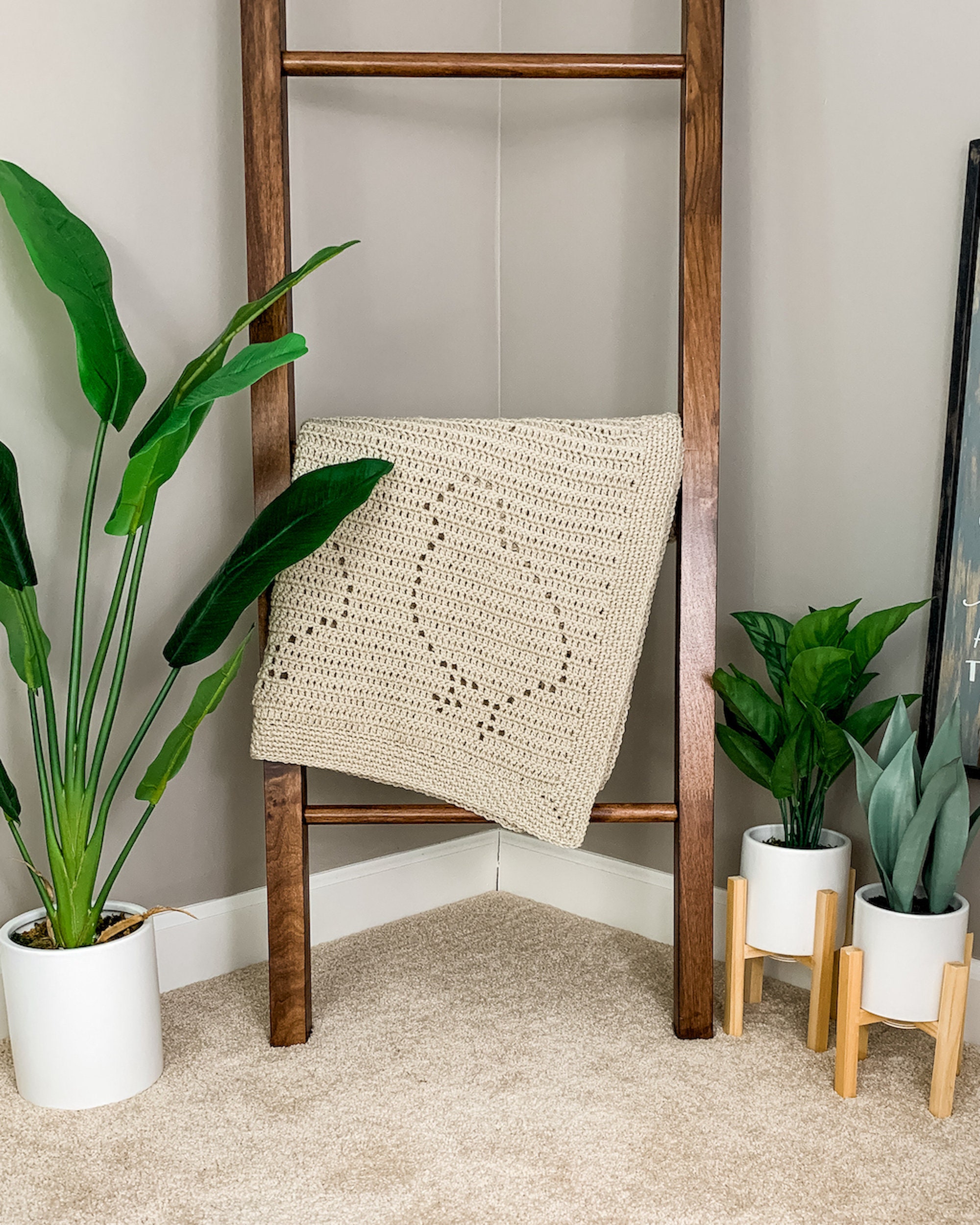 Sheldon Blanket Filet Crochet Pattern Chickens — Owl B. Hooked