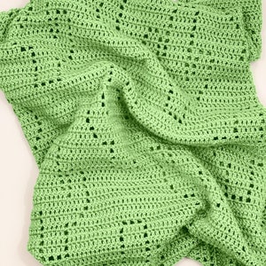 Sedona Blanket Filet Crochet Blanket Pattern Baby Blanket Crochet Pattern Filet Blanket Filet Crochet Pattern Cactus Desert image 5