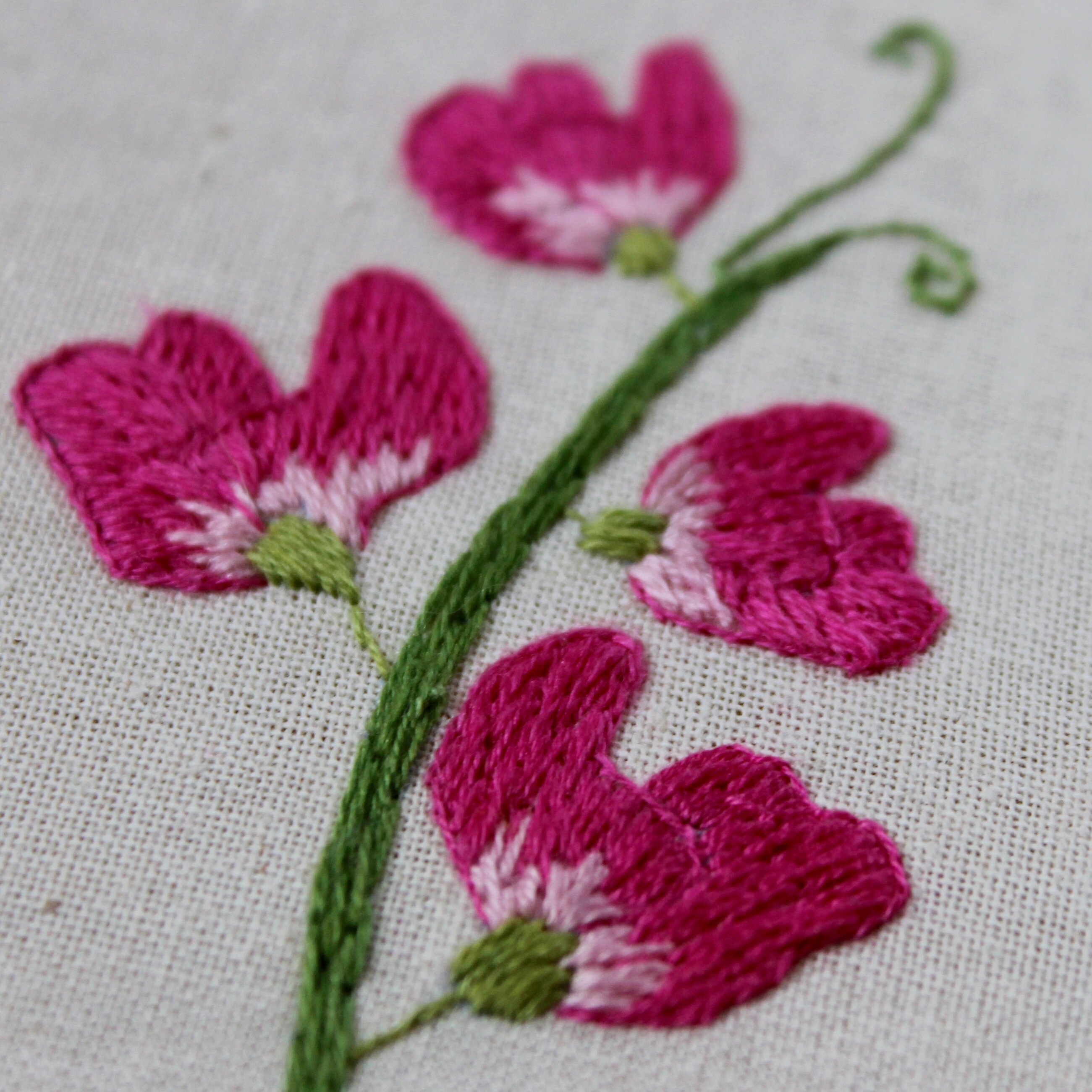 スイートピーの刺繍パターン、初心者向けの針仕事、モダンなクラフト