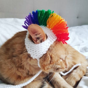 Rainbow Cat Hat Mohican, Unicorn Hat for Cats, Pride Pet Costume, Cat Accessories, Multi-coloured Clothing for Cats
