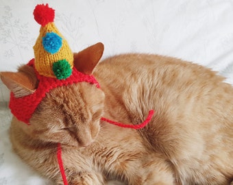 Clown Cat Hat, Pet Accessories, Clown Costume, Novelty Hat