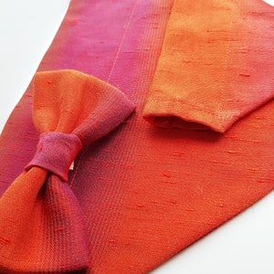 Silk Pet Bow Tie, Orange Dog Bow Tie, Cat Accessories, Over the Collar Bow Tie image 8