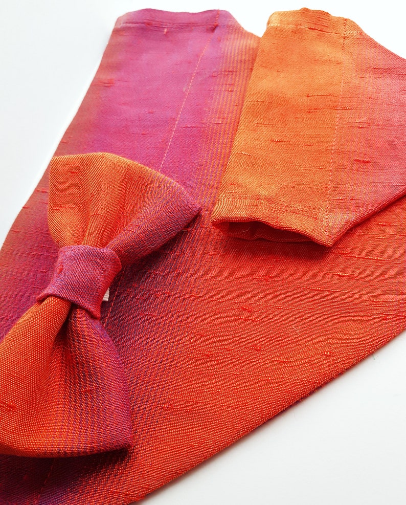 Silk Pet Bow Tie, Orange Dog Bow Tie, Cat Accessories, Over the Collar Bow Tie image 8