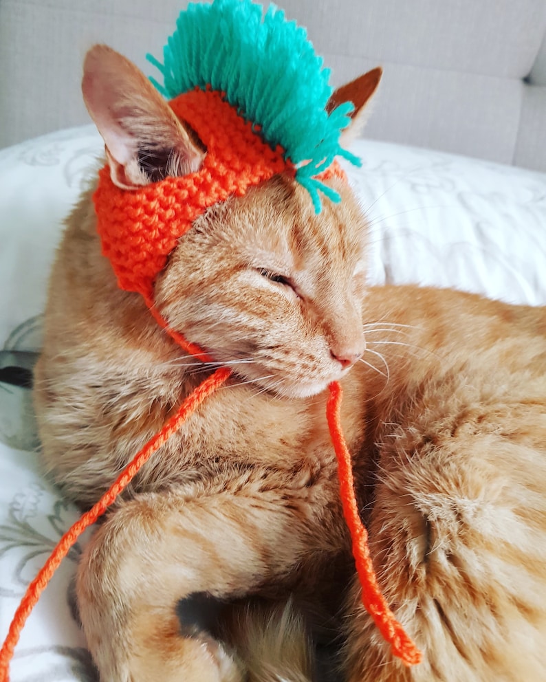 Punk Cat Hat and Pet Accessories