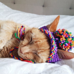 Rainbow Pompom Cat Hat, Multi-coloured Bobble Hat for Cats, Pride Pet Outfit, Cat Accessories