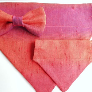 Silk Pet Bow Tie, Orange Dog Bow Tie, Cat Accessories, Over the Collar Bow Tie image 7