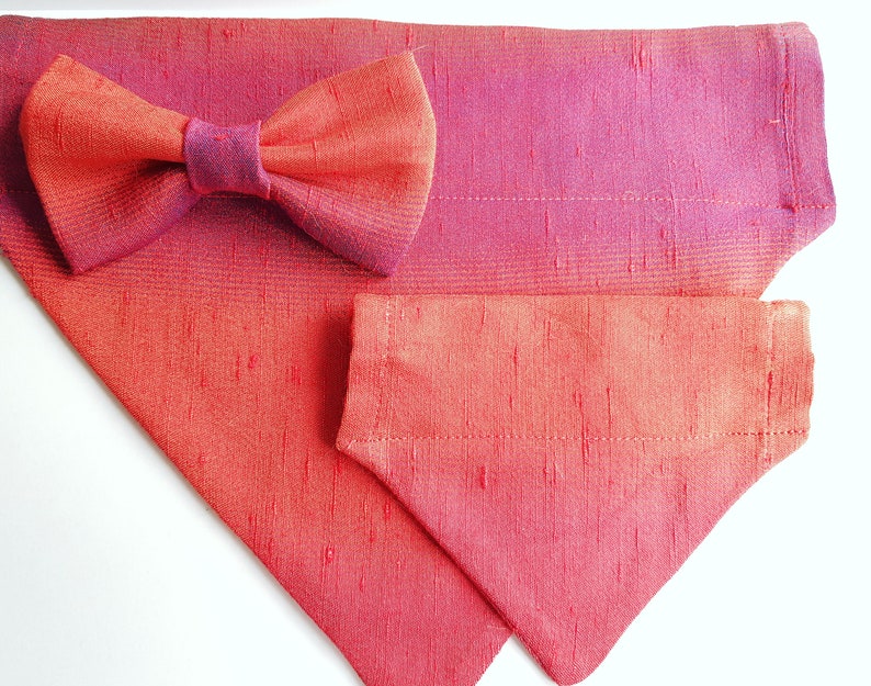Silk Pet Bow Tie, Orange Dog Bow Tie, Cat Accessories, Over the Collar Bow Tie image 7