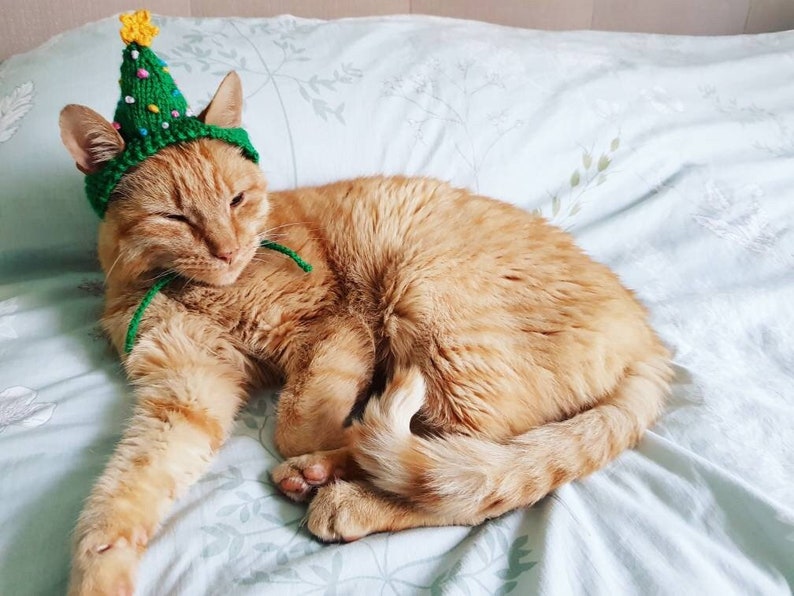 Christmas Tree Cat Hat Festive Hat for Cats Novelty Hat Cat image 1