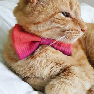 Silk Pet Bow Tie, Orange Dog Bow Tie, Cat Accessories, Over the Collar Bow Tie image 4