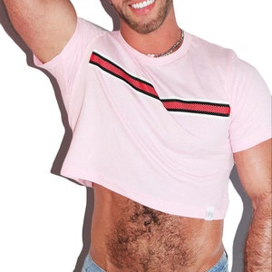 Heritage Stripe Crop Tee-Pink