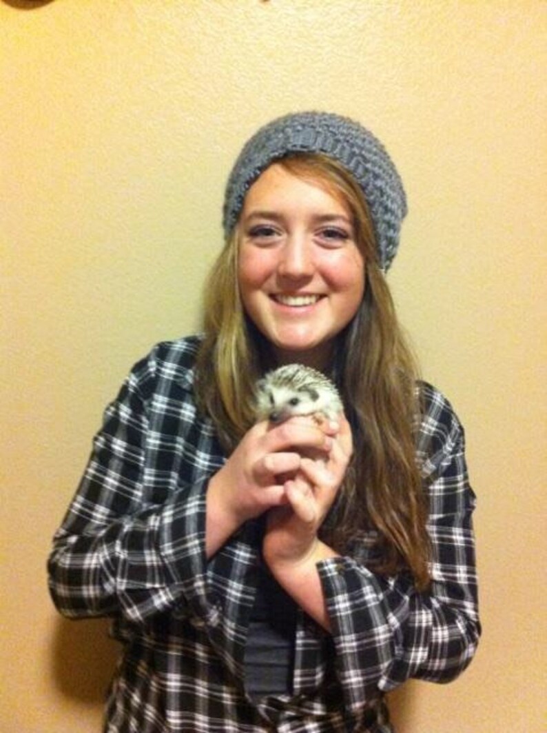 Slouchy Beanie in gray image 2