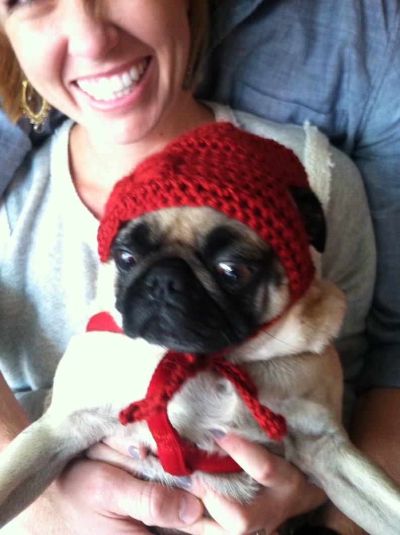 Crocheted Dog Beanie Etsy