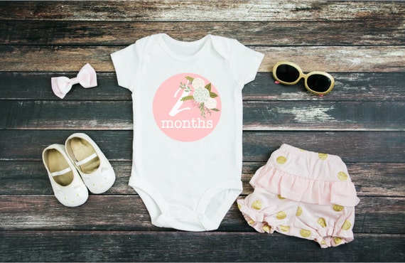 PRINTABLE Baby Monthly Stickers. Gift for Her. Baby Shower Gift. Baby Monthly Milestone cards. Baby Monthly Stickers.Iron-on Transfer Il_570xn