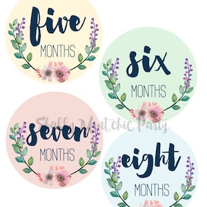 May include: Four round baby milestone stickers with floral wreaths and the words "five months", "six months", "seven months", and "eight months" in navy blue lettering.