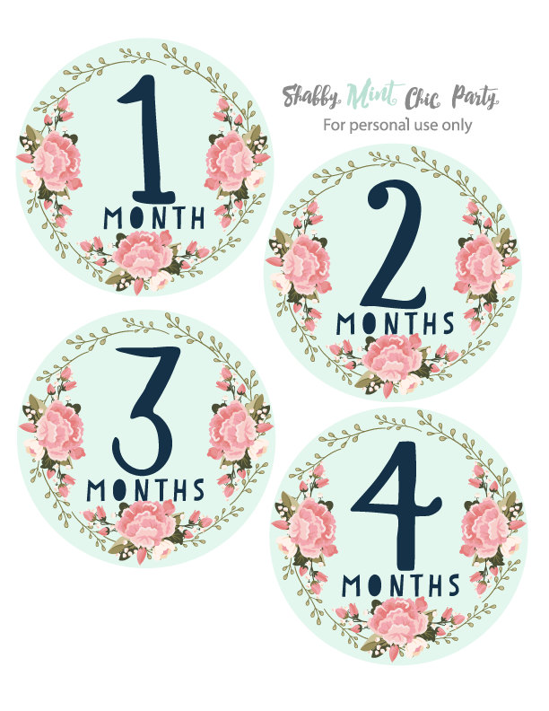 Printable Baby Monthly Milestone. Gift for Baby. Gift for Her. Baby ...